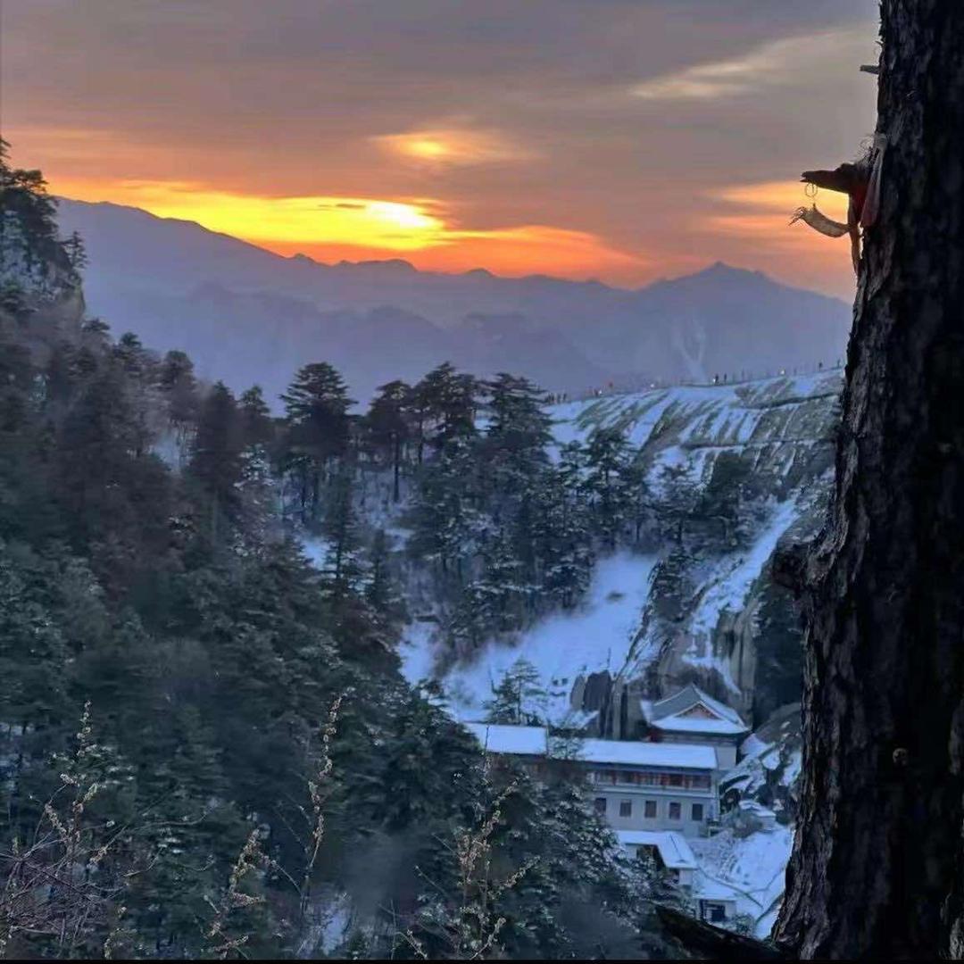 丸子爱生活直播号