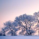 原路飞起直播号