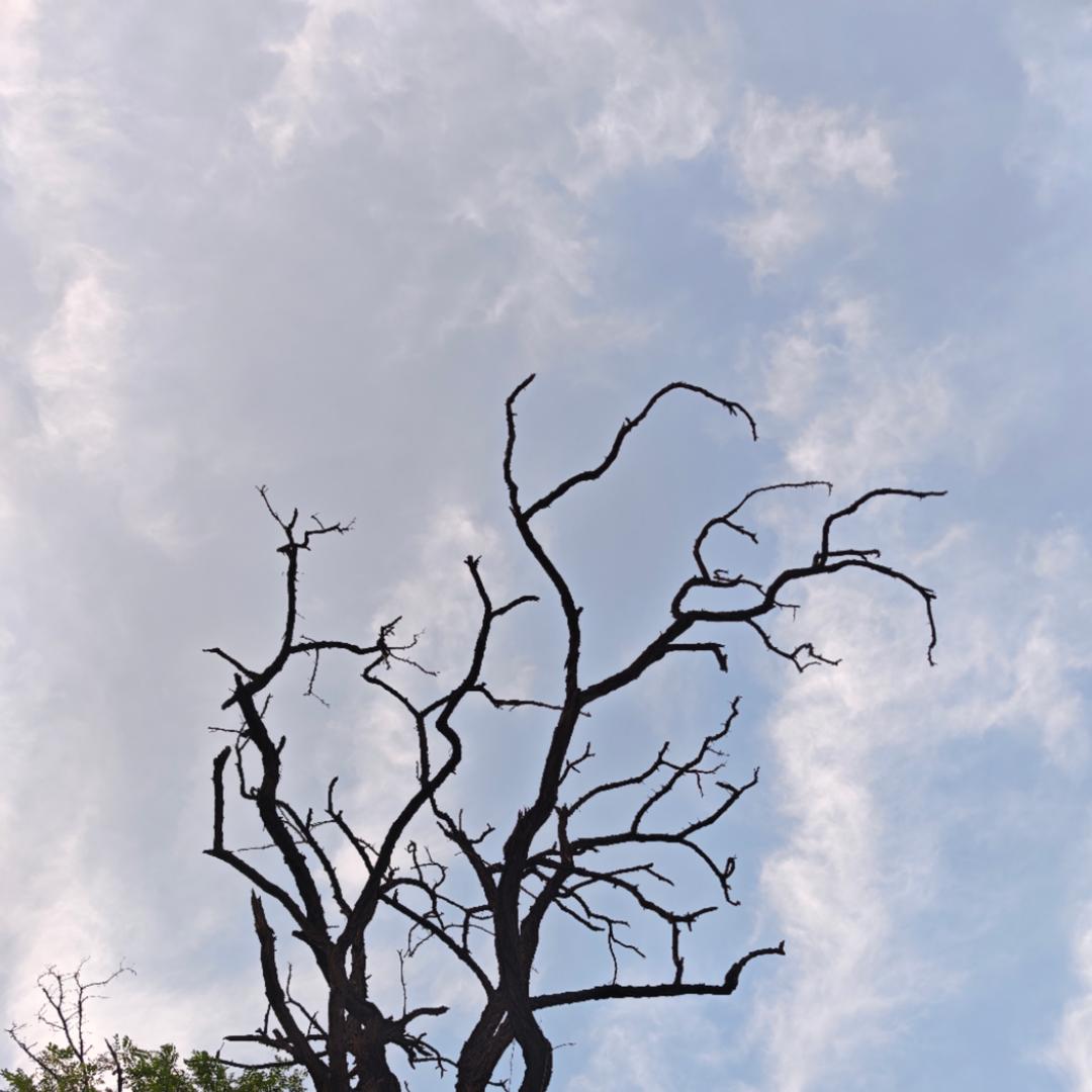 亦庄西岸建材城云月溪河运营号