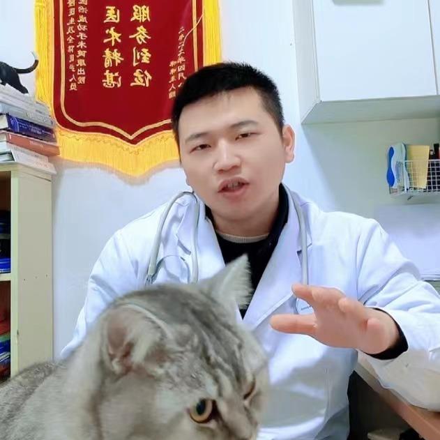 佛系兽医段院长（添越犬猫）