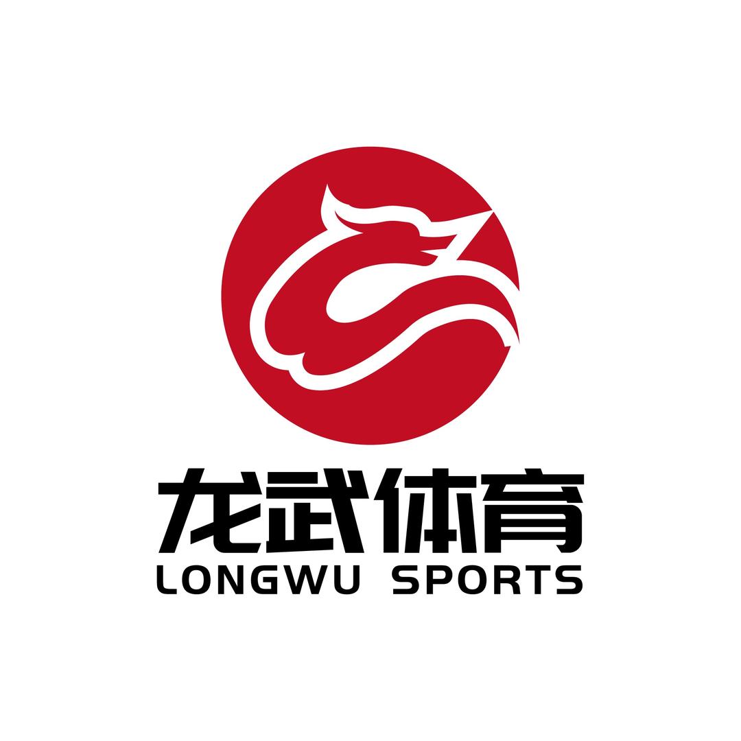 龙武体育官方号