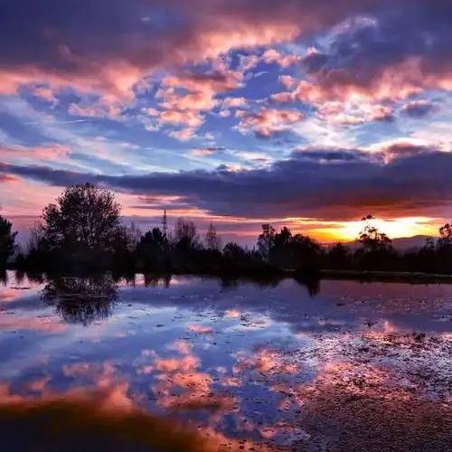 幸运的大春直播间