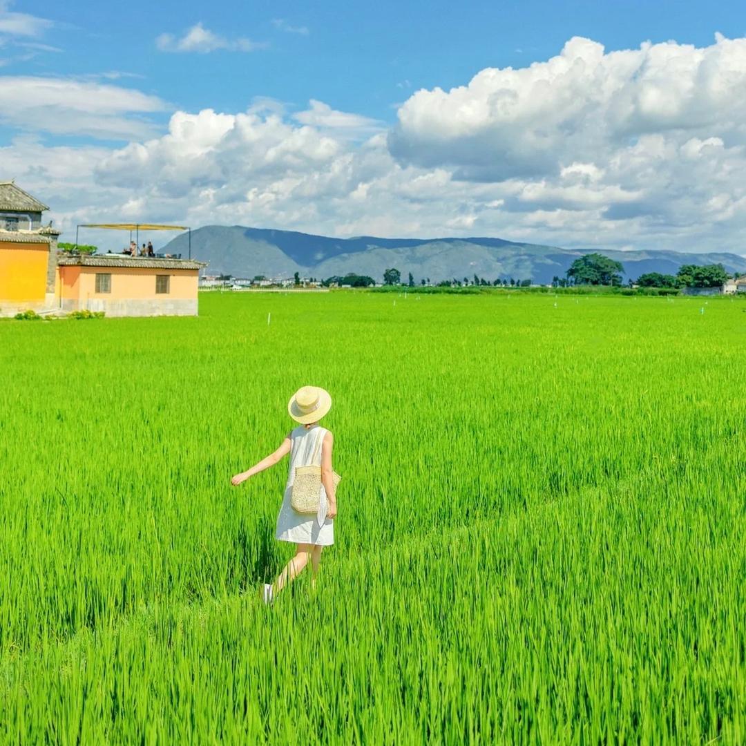 青甘定制（同旅专场）