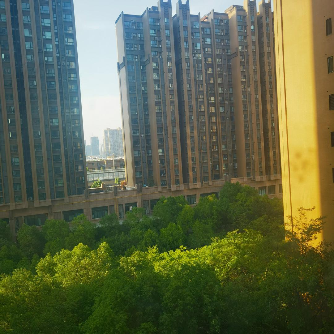 沙头顺兴五金交电广州元瑶商贸有限公司圆圆直播号