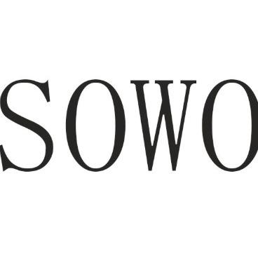 SOWO·名流美业(学府名苑店)专用号