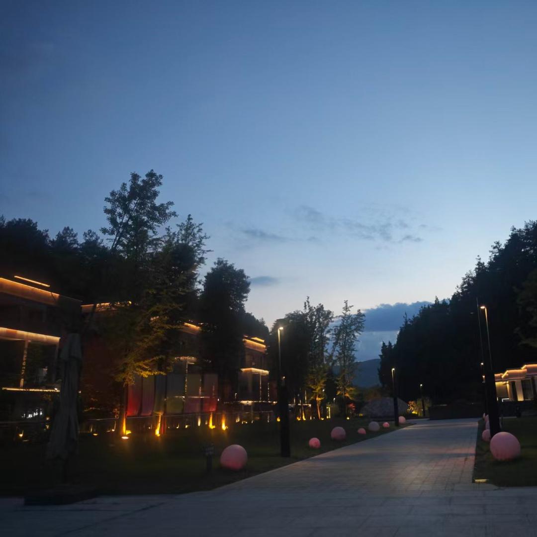 锋杭2宠粉号