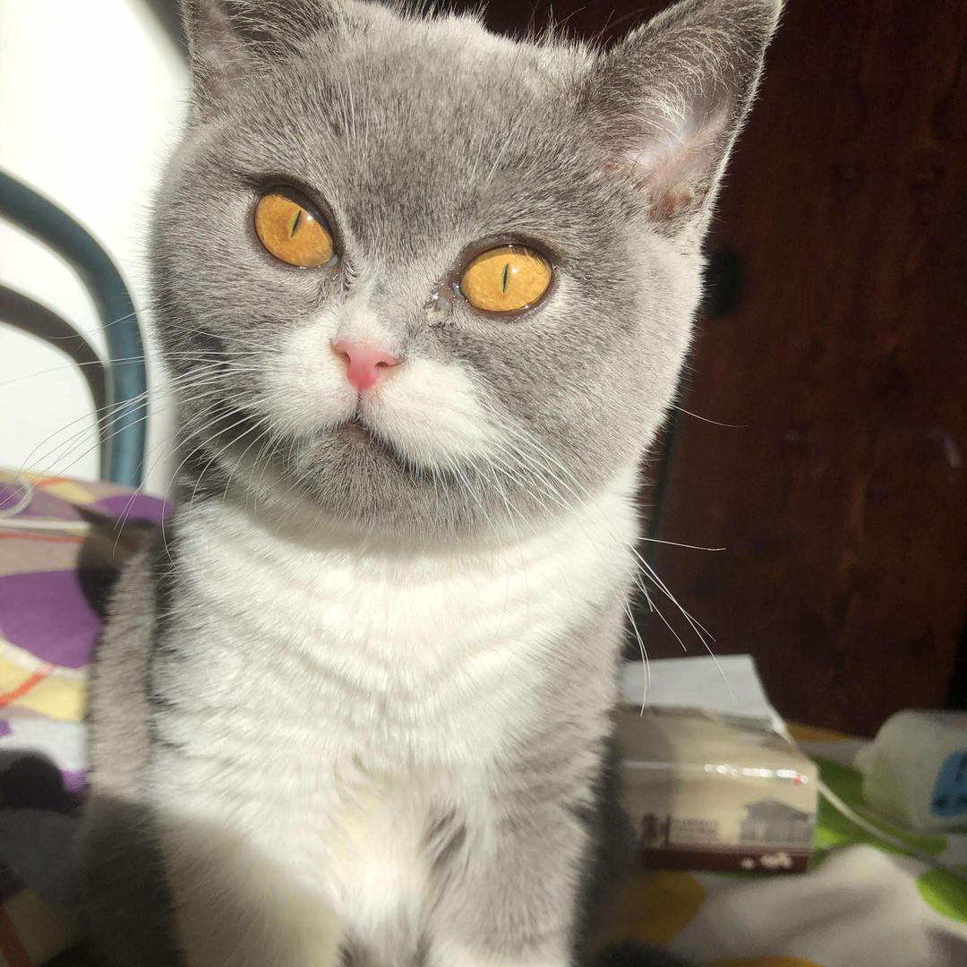 清真唯炉辣焱火锅店