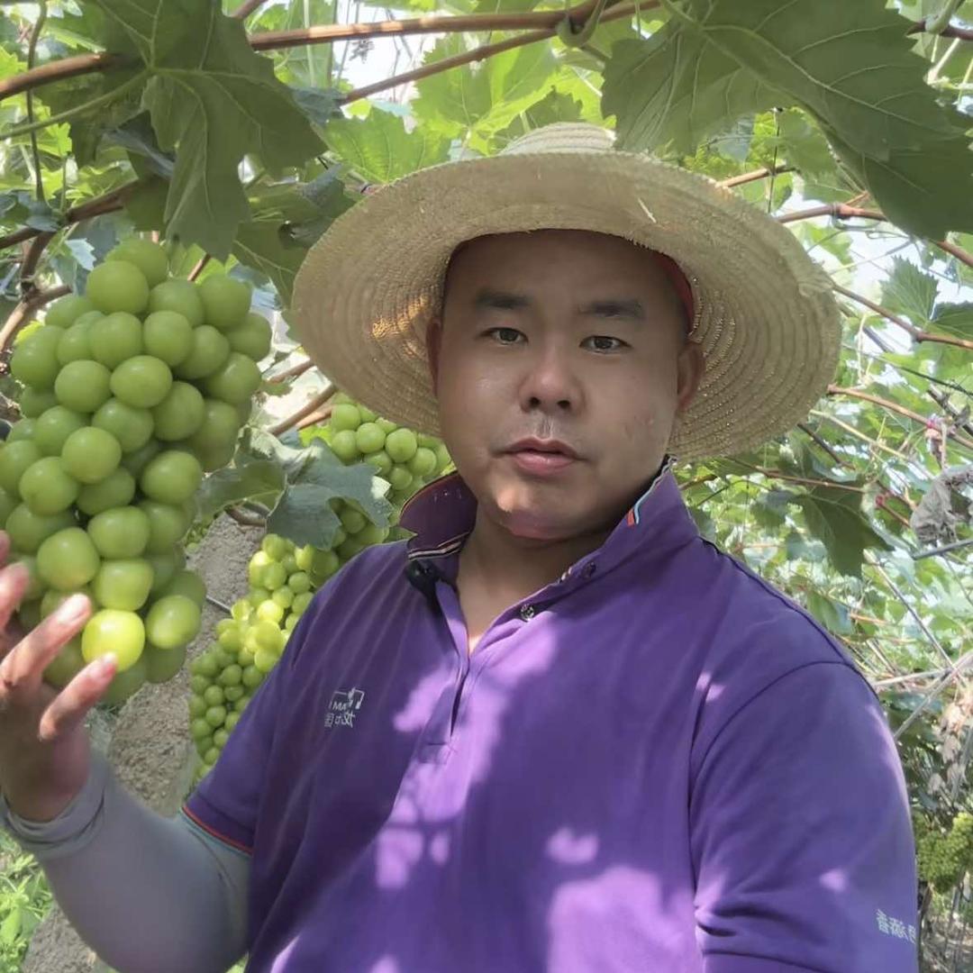 小易哥种葡萄