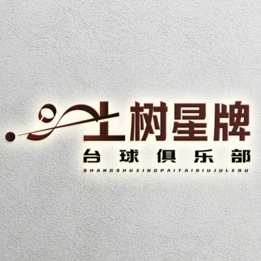 上树星牌台球台球俱乐部