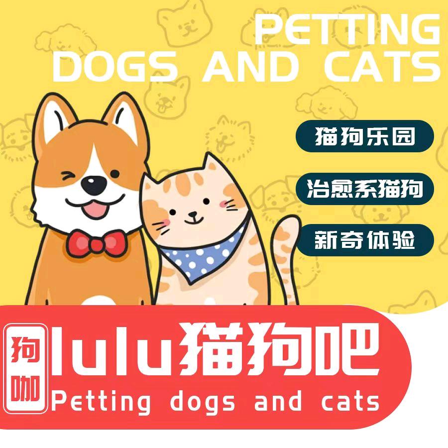 lulu猫狗吧