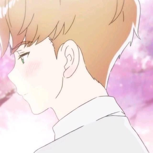 季桓客服6号