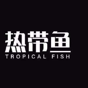 热带的鱼