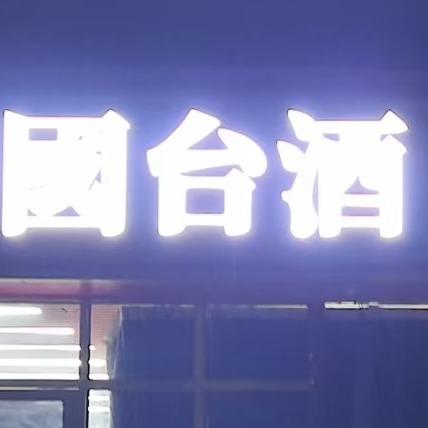 95458907493