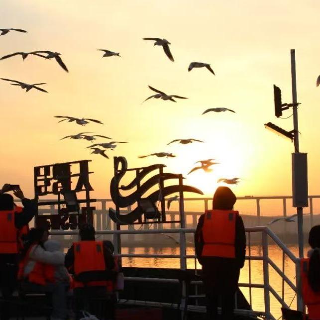 天鹅号游轮-嘉华旅游