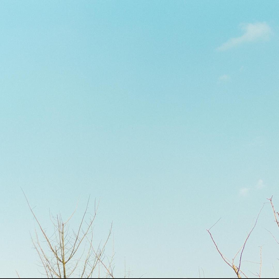 天河明珠百货(黄村新富市场店)福利号