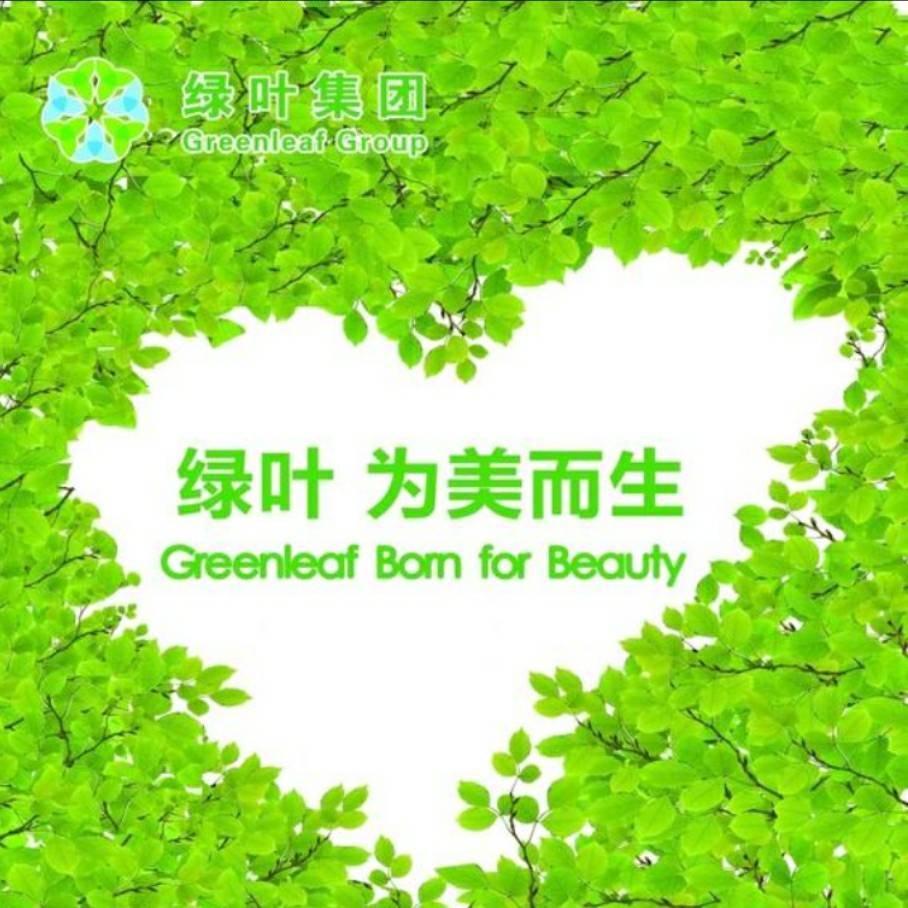 绿叶超市（福鼎总店）