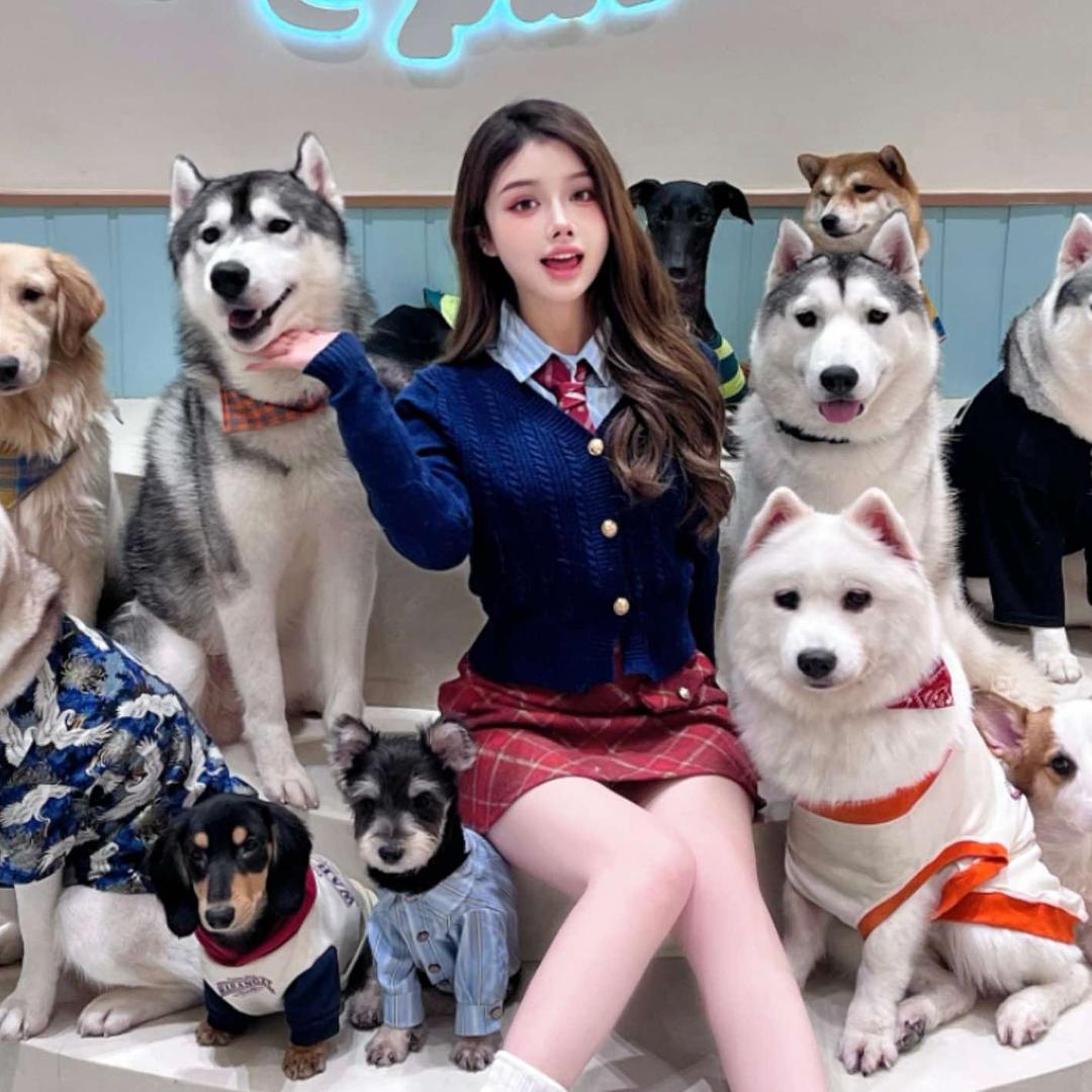 它它派对·猫咖·狗咖·羊驼（街道口店）