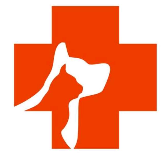 丁丁宠物医院官方号