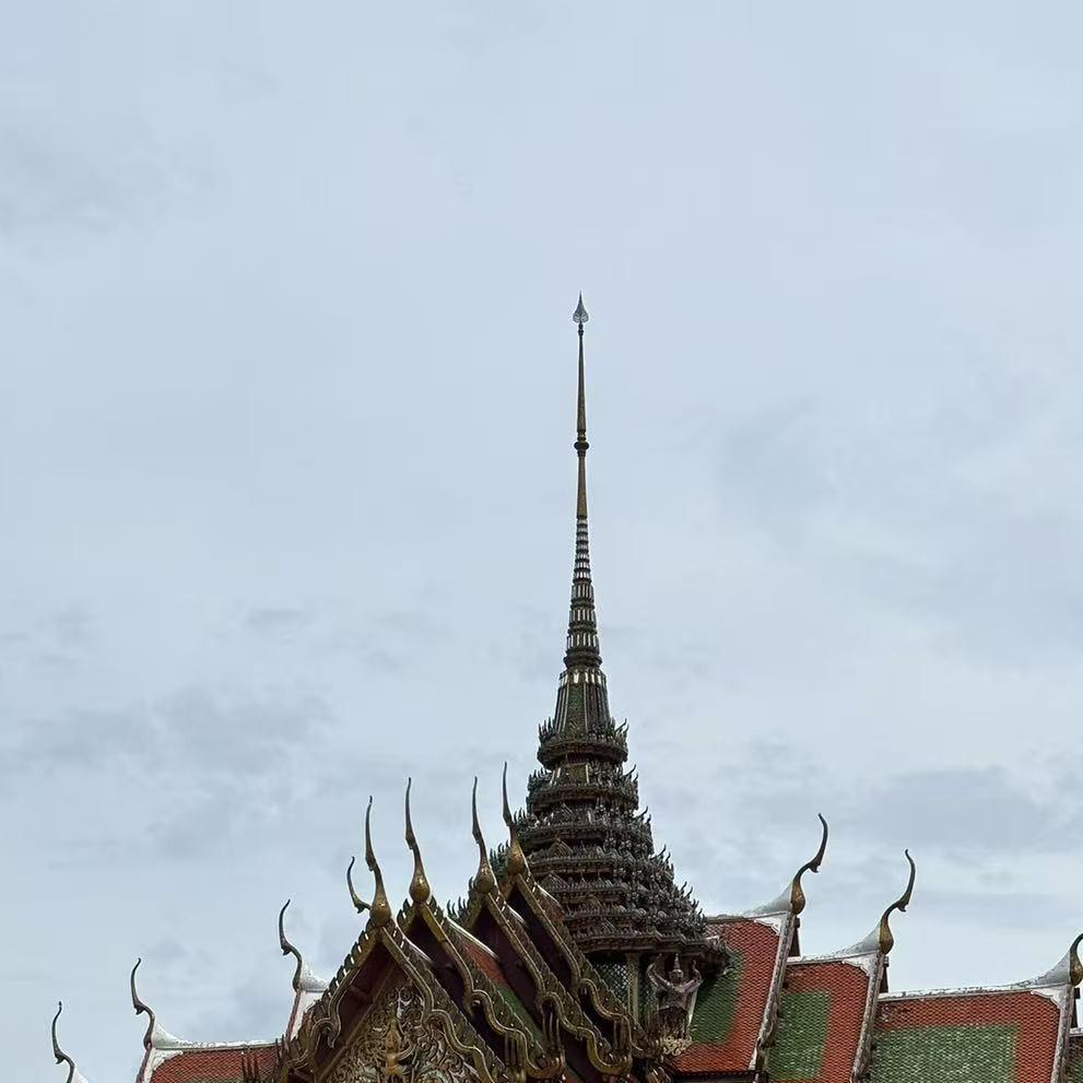 曾记五金通保直播号