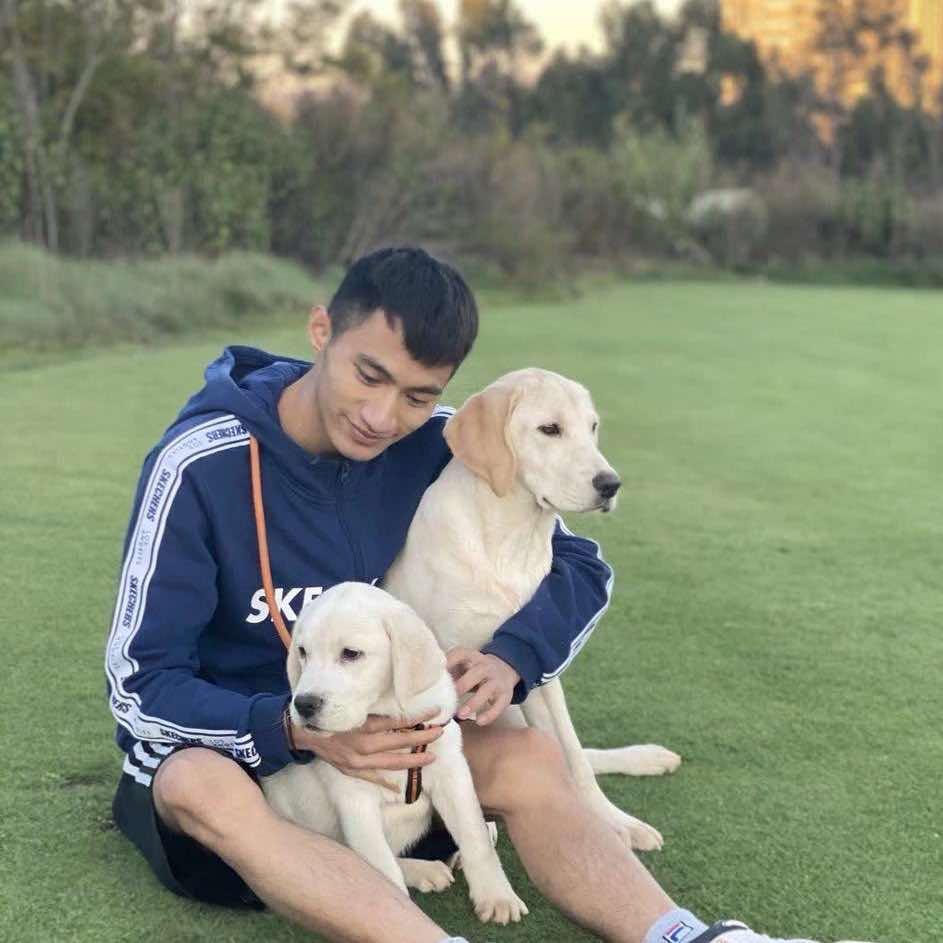 强子在昆明训犬《鸿锦犬舍》