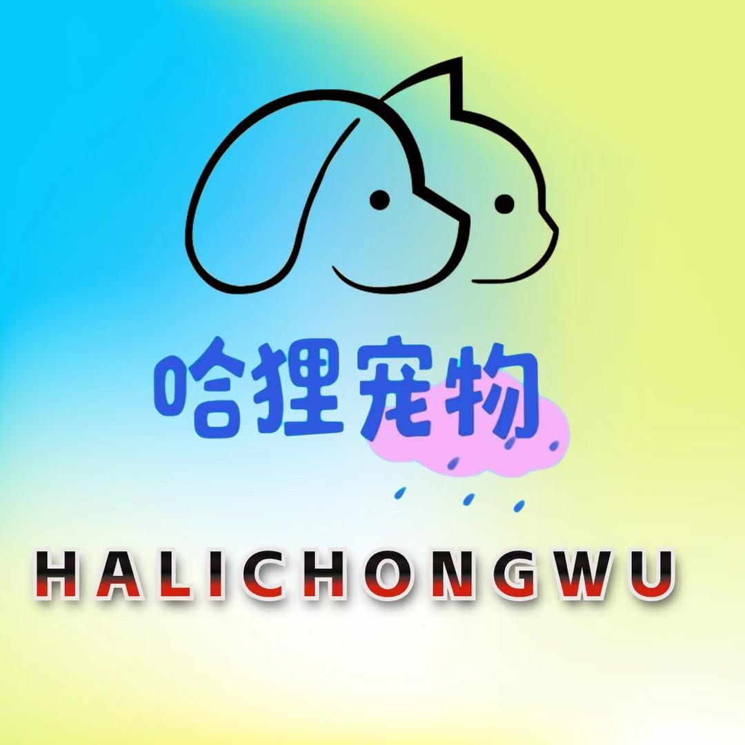 哈狸宠物美容培训学校