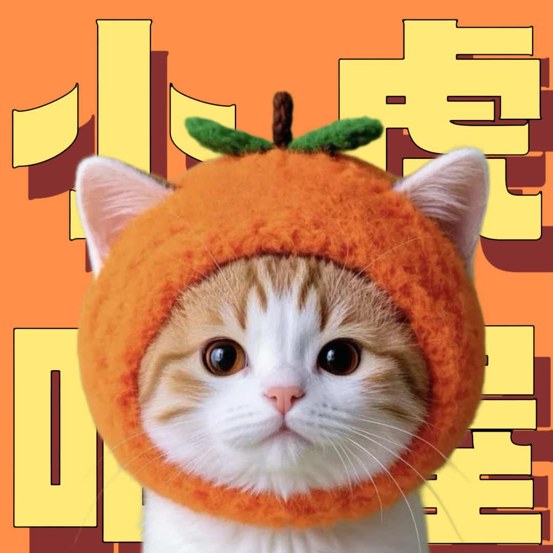 小虎喵屋猫咪生活馆·寄养·洗护