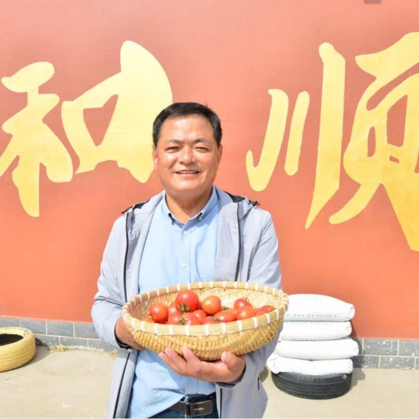 老杨不搬砖