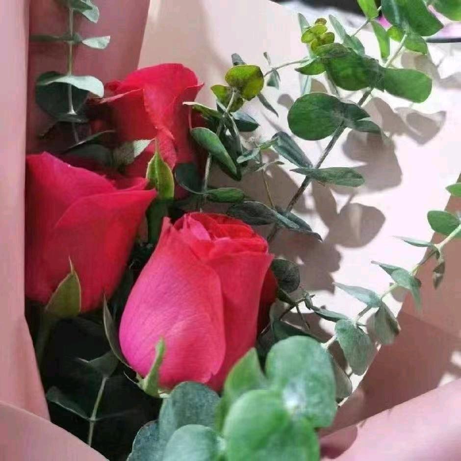 蓝星星美发-涵江大福夜市斜对面