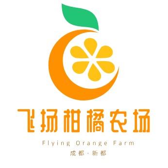 飞扬生态柑橘园