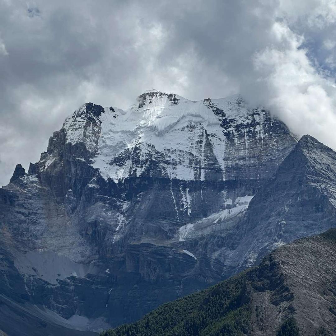 雪碧加冰直播号