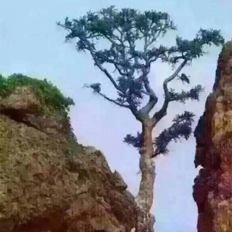 世波家电城官方号
