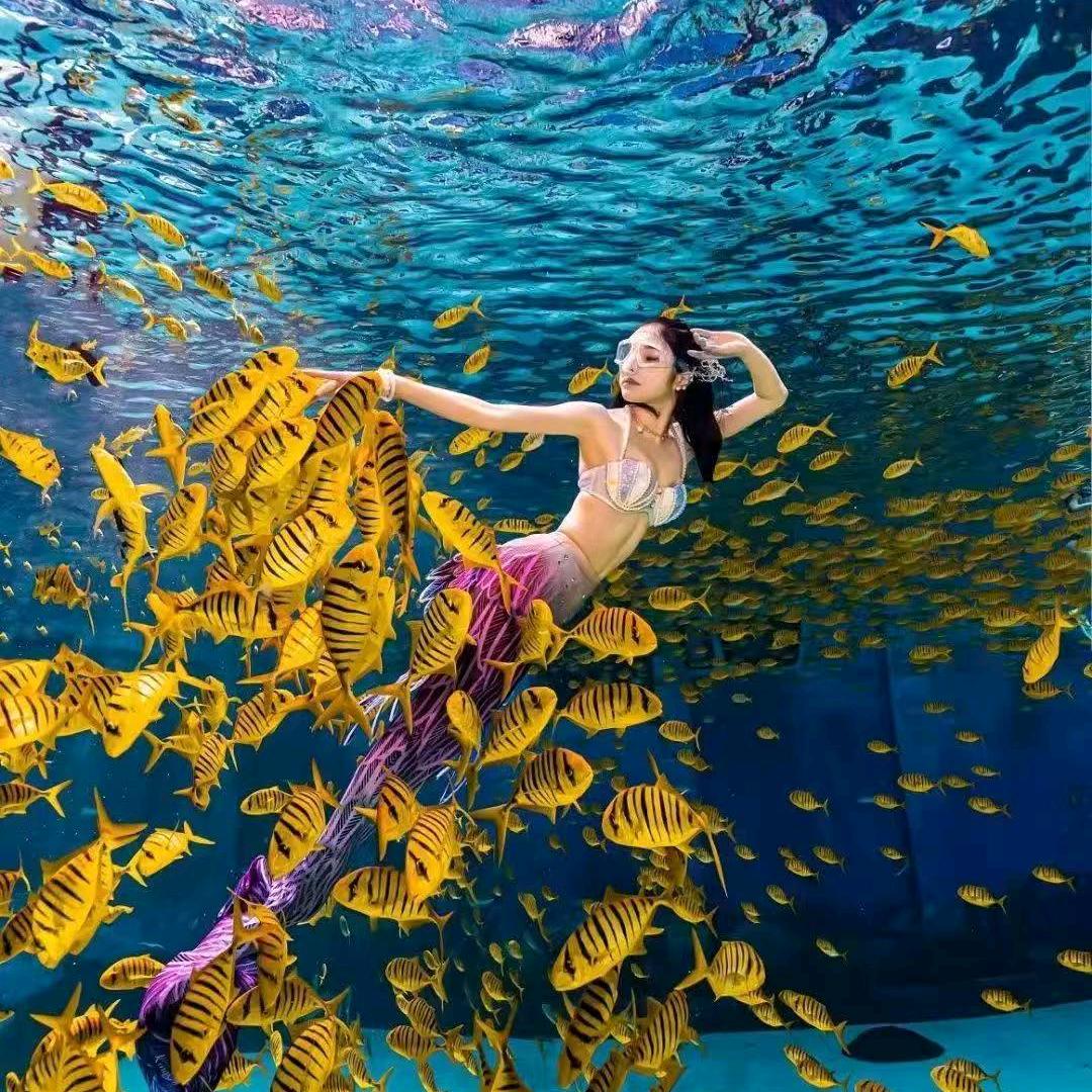 鄂城极地海洋公园官方号