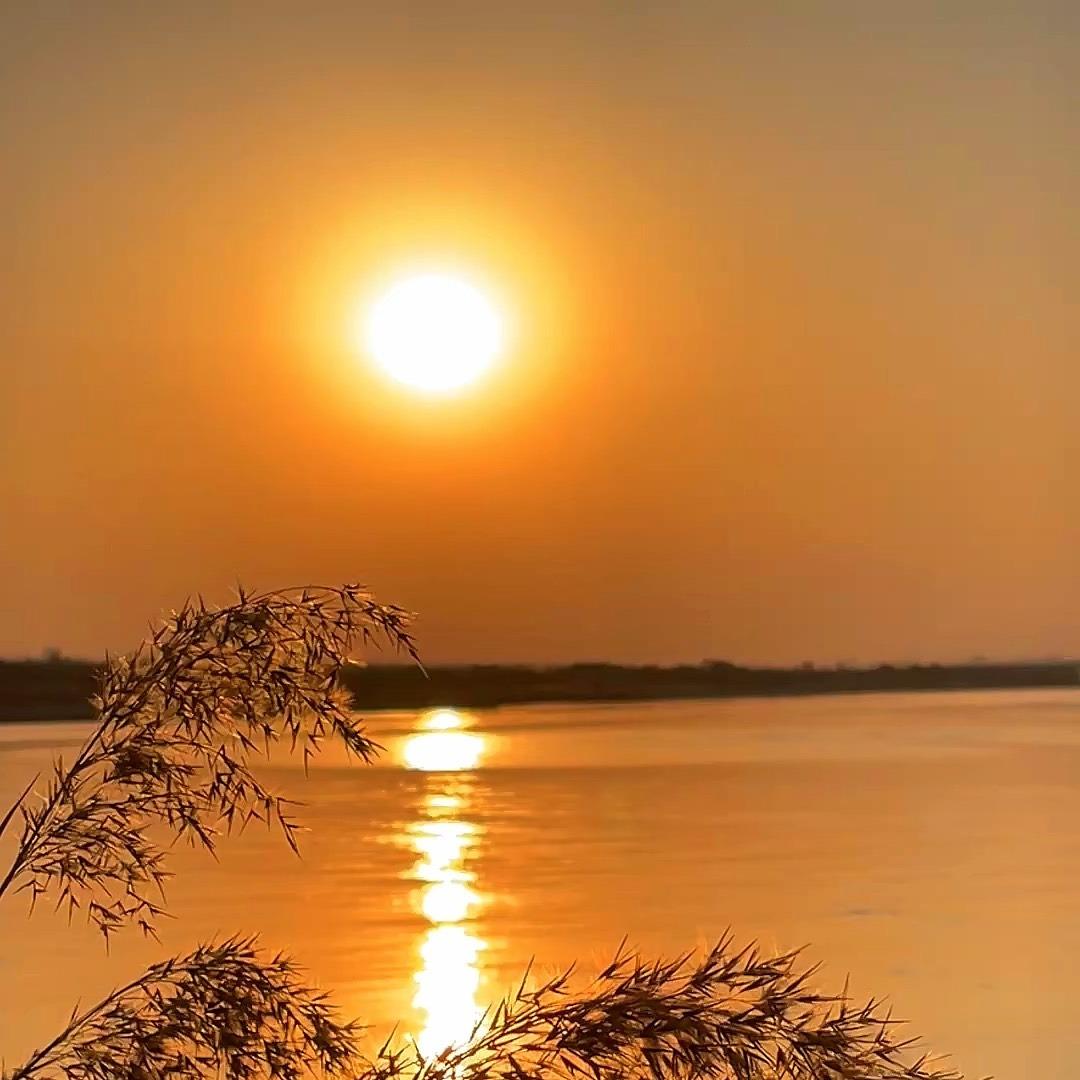 何莱通餐饮直播号