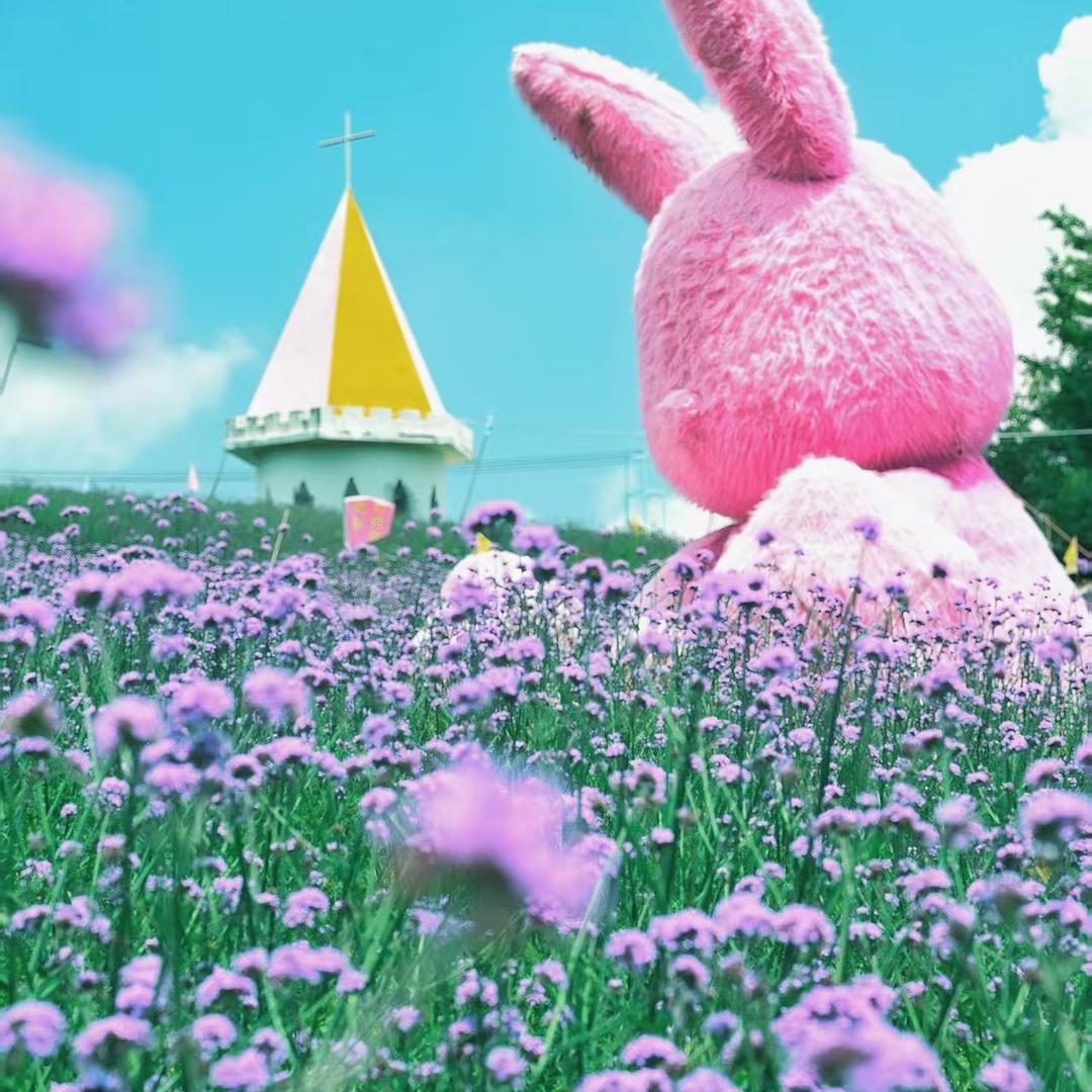 苏马荡大花谷官方号