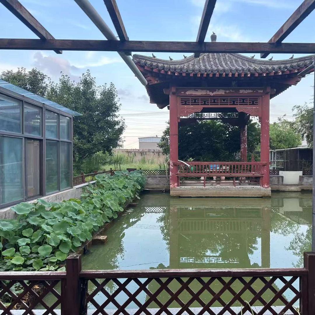 开封艺风小院民宿