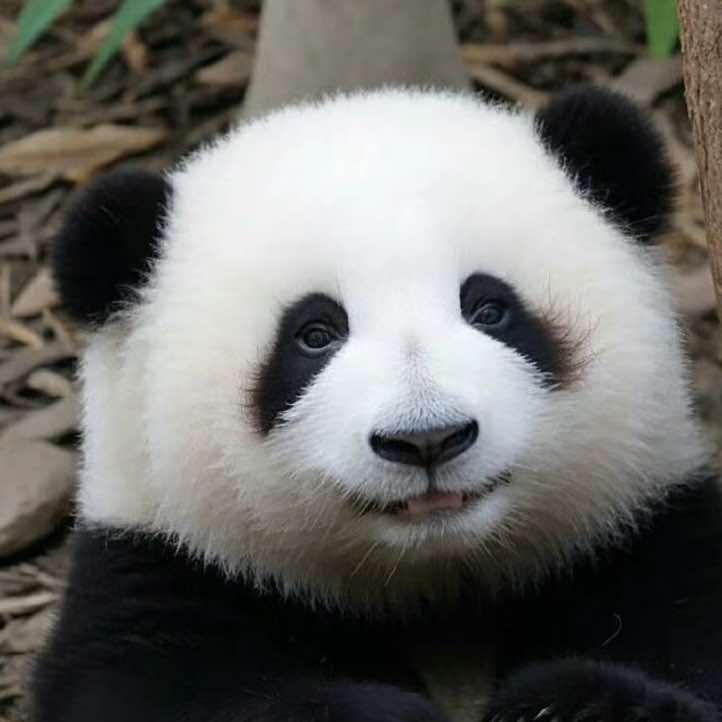 抚宁全友家居