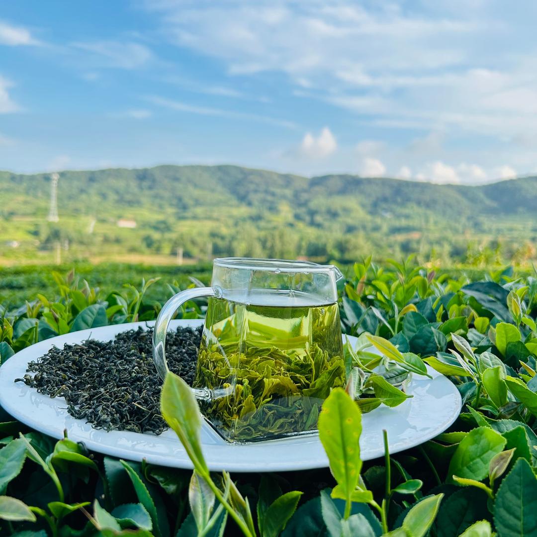 日照绿茶·嘉日茶业（山海天店）