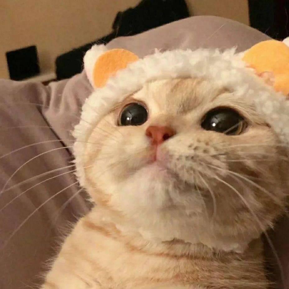 烦得货