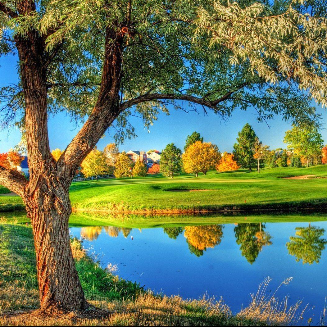 闪不闪啊直播号