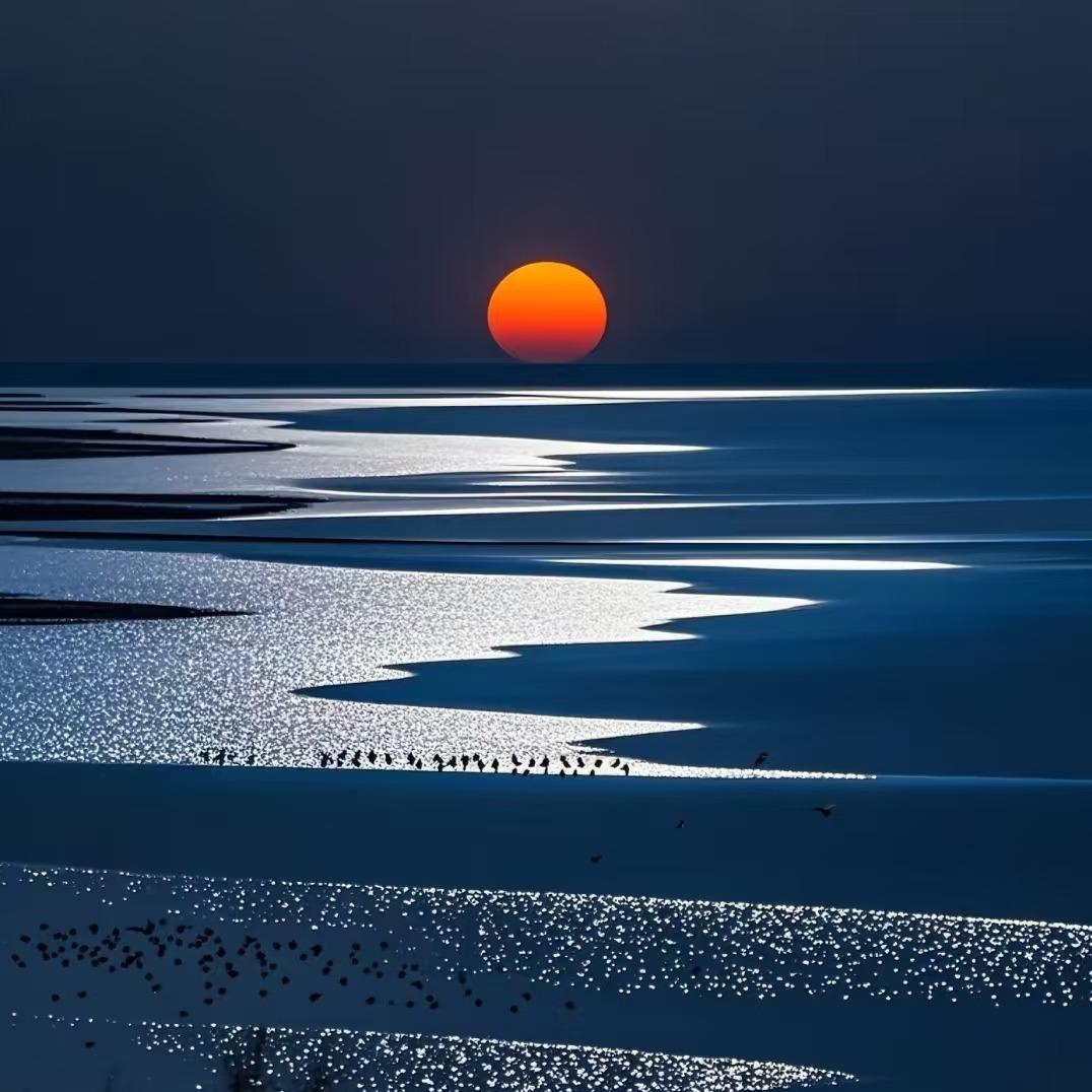 普李科技8直播号