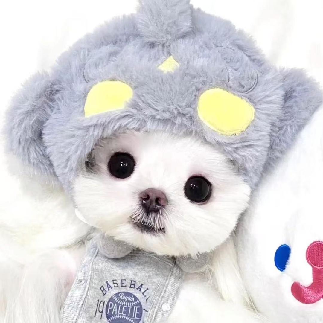 小狗很哇塞-金人