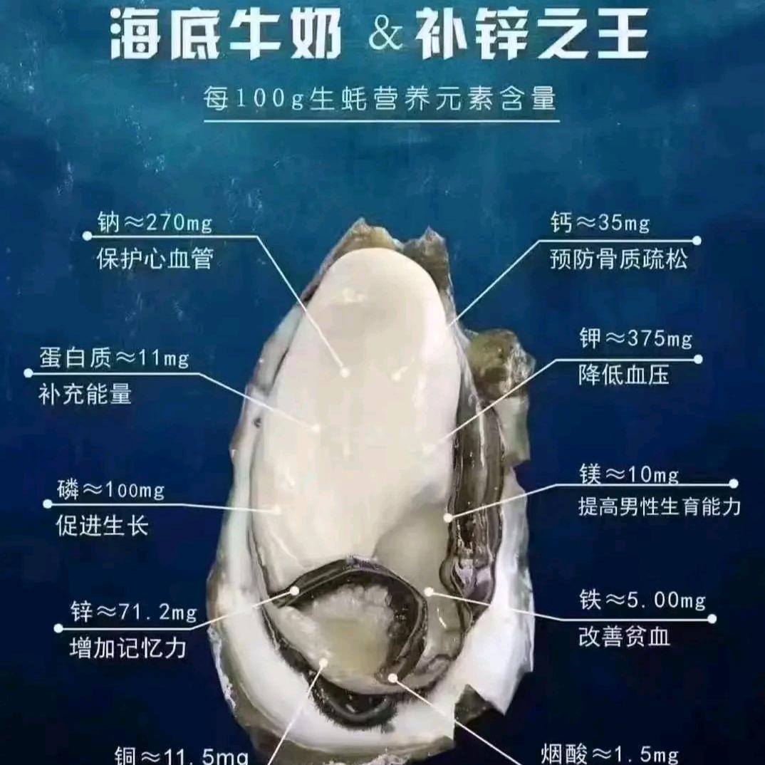 蚝发生蚝铺
