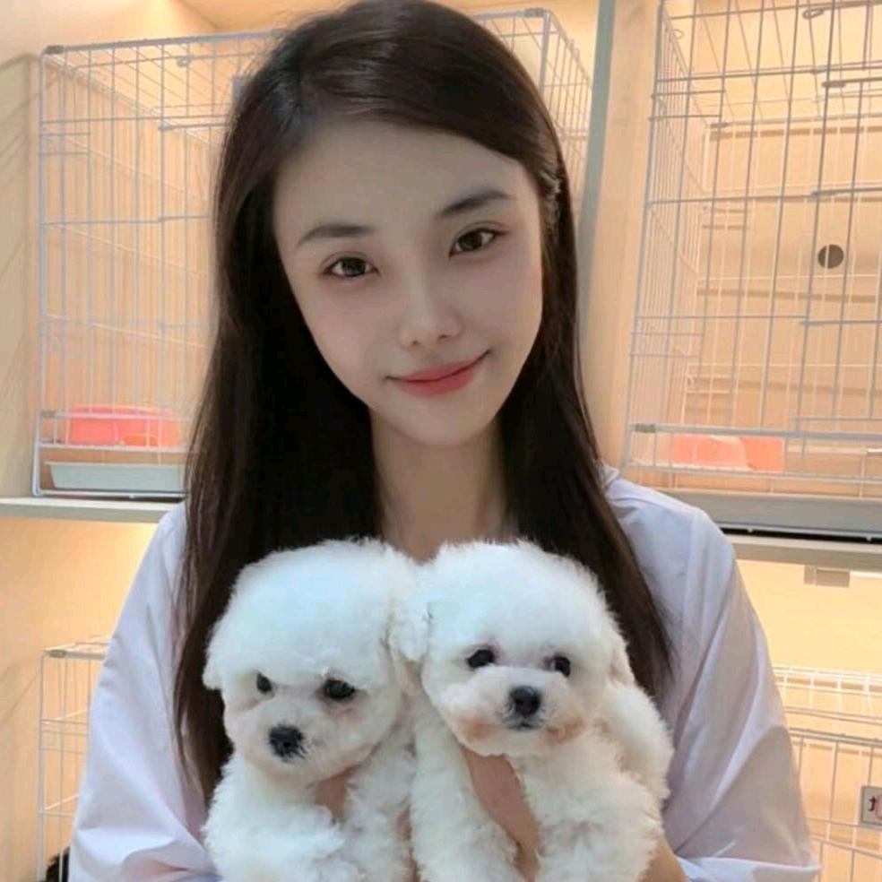 广州知宠屿犬舍（总部）