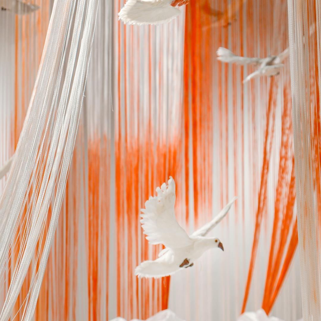 方城舟捏服务号