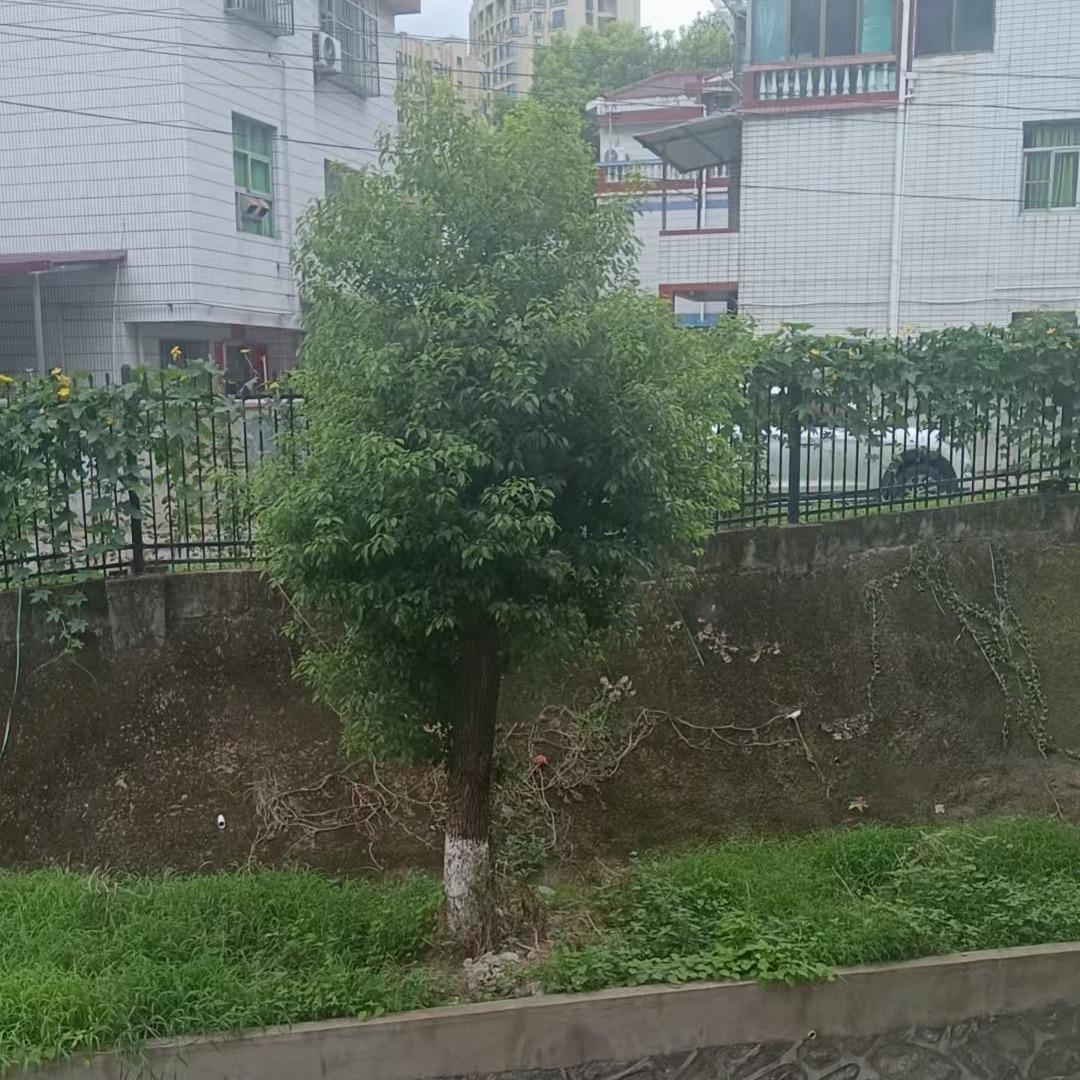 苒卦招财百货号
