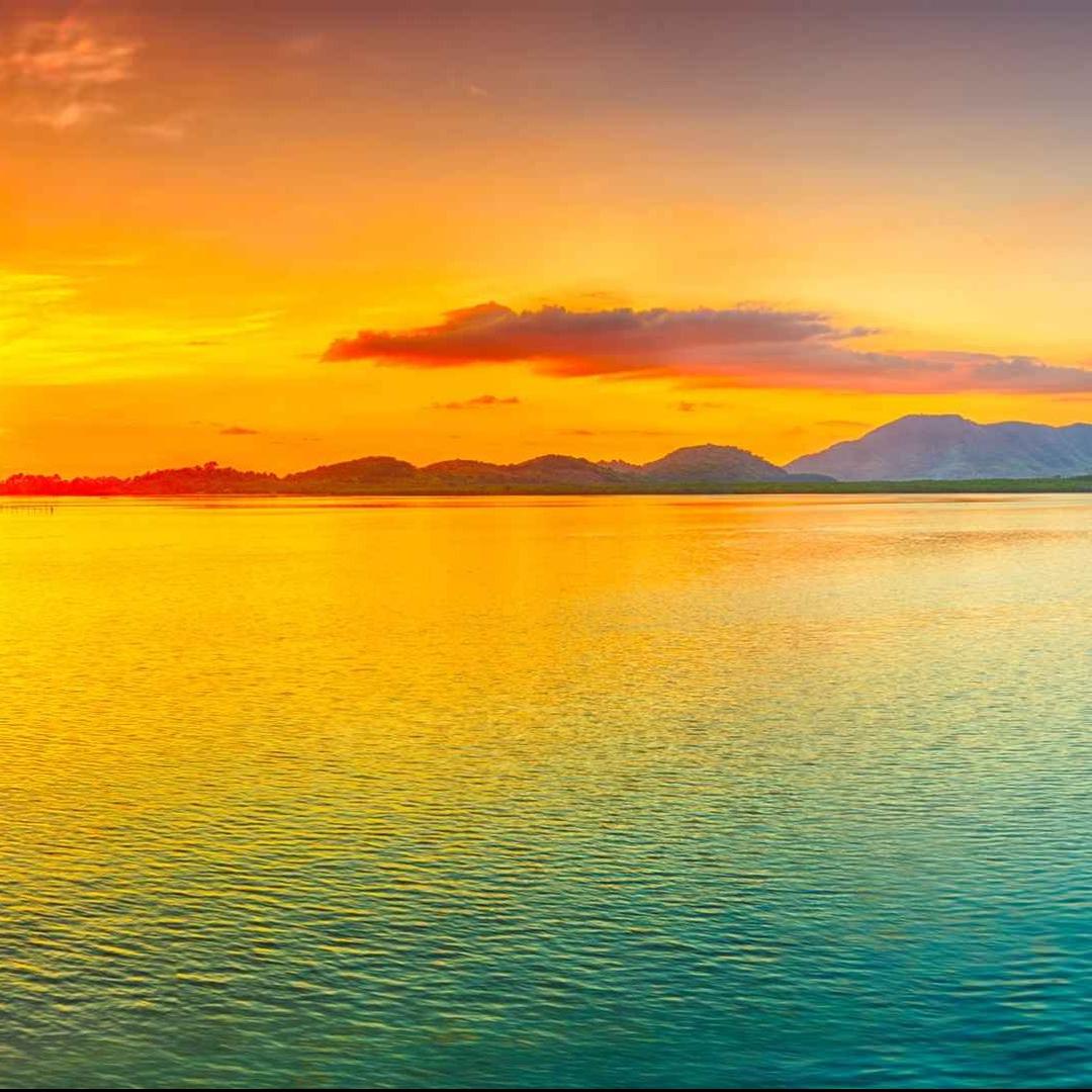 世之光钢化玻璃厂叁直播号