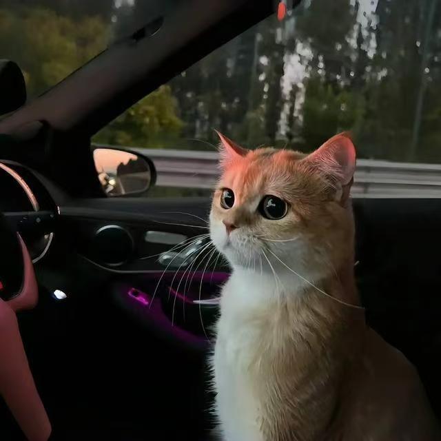 棠路lL