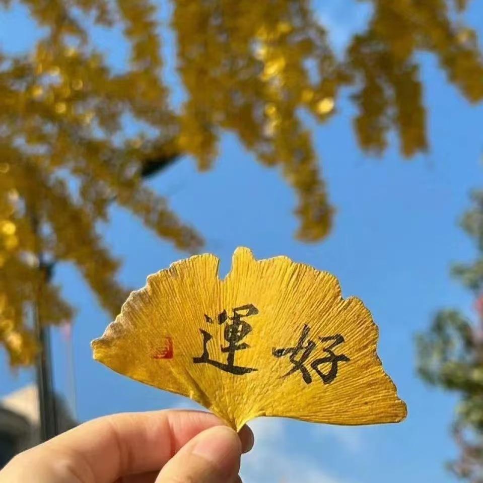 蓝胜小鹏