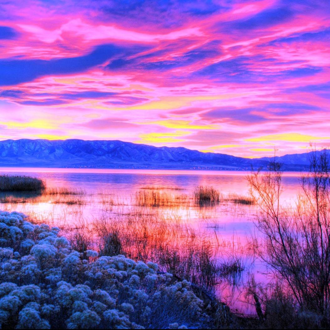 卢氏芽尊商贸甜心5号直播号