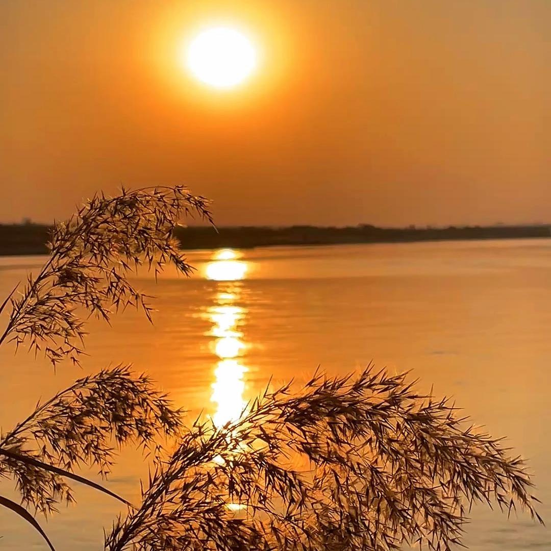 广州格元曹老师生活号一